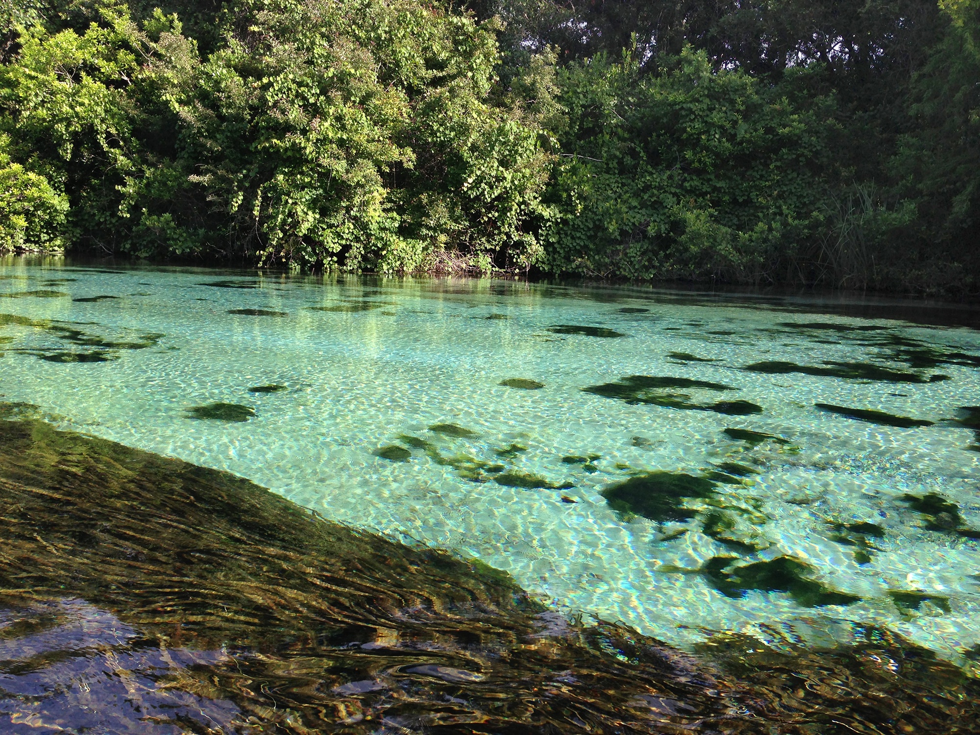 The Weeki Wachee River within Weeki Wachee Springs State Park